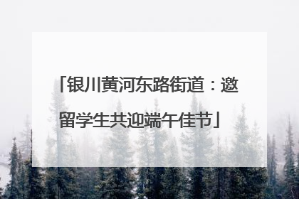 银川黄河东路街道：邀留学生共迎端午佳节