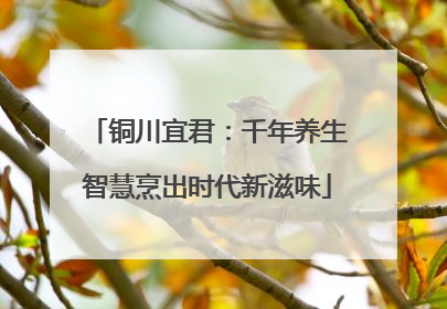 铜川宜君：千年养生智慧烹出时代新滋味