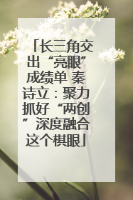 长三角交出“亮眼”成绩单 秦诗立：聚力抓好“两创”深度融合这个棋眼