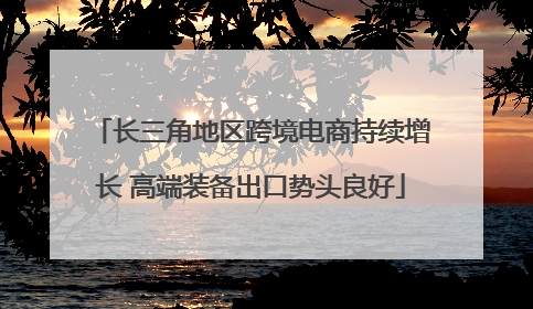 长三角地区跨境电商持续增长 高端装备出口势头良好