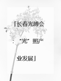 长春光博会：“光”照产业发展