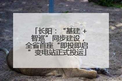 长阳：“基建 + 智巡”同步建设，全省首座“即投即启”变电站正式投运
