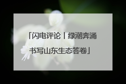 闪电评论丨绿潮奔涌 书写山东生态答卷