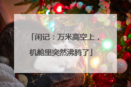 闲记：万米高空上，机舱里突然沸腾了