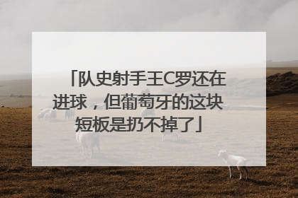 队史射手王C罗还在进球，但葡萄牙的这块短板是扔不掉了