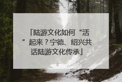 陆游文化如何“活 ”起来？宁德、绍兴共话陆游文化传承