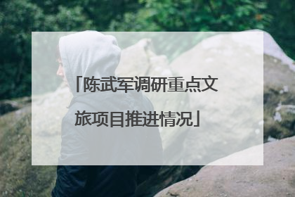 陈武军调研重点文旅项目推进情况