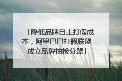 降低品牌自主打假成本，阿里巴巴打假联盟成立品牌抽检分盟