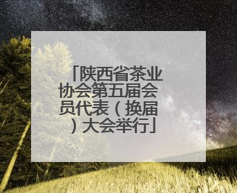 陕西省茶业协会第五届会员代表（换届）大会举行