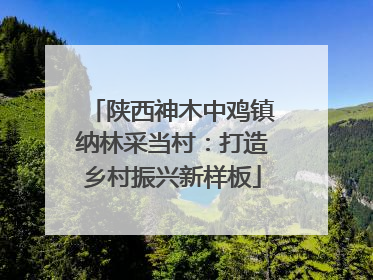 陕西神木中鸡镇纳林采当村：打造乡村振兴新样板