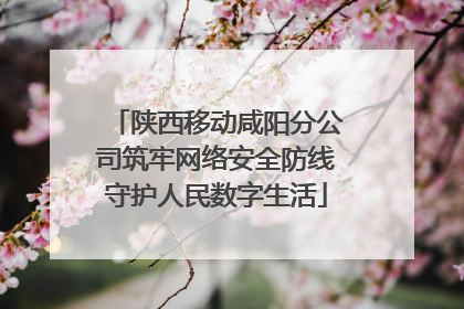 陕西移动咸阳分公司筑牢网络安全防线守护人民数字生活