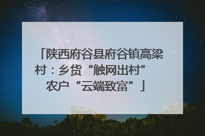 陕西府谷县府谷镇高梁村：乡货“触网出村” 农户“云端致富”