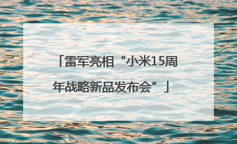 雷军亮相“小米15周年战略新品发布会”