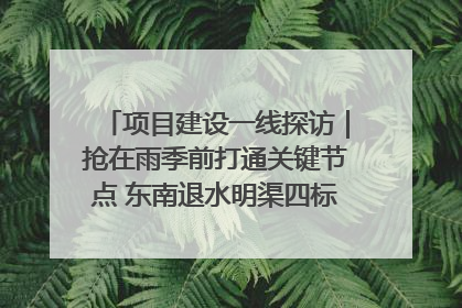 项目建设一线探访｜抢在雨季前打通关键节点 东南退水明渠四标段项目顺利完工