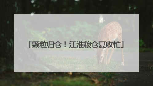 颗粒归仓！江淮粮仓夏收忙