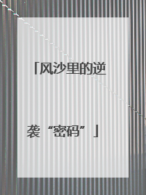 风沙里的逆袭“密码”