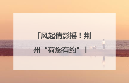 风起倩影摇！荆州“荷您有约”