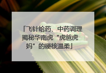 飞针给药、中药调理 揭秘华南虎“虎爸虎妈”的硬核温柔