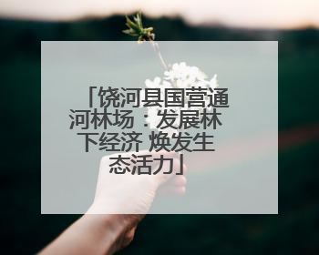 饶河县国营通河林场：发展林下经济 焕发生态活力