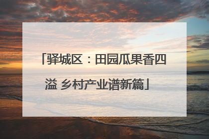 驿城区：田园瓜果香四溢 乡村产业谱新篇