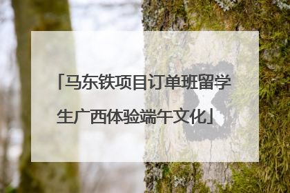 马东铁项目订单班留学生广西体验端午文化