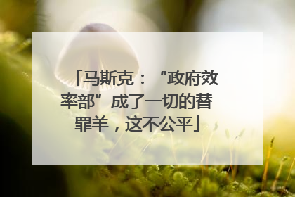 马斯克：“政府效率部”成了一切的替罪羊，这不公平