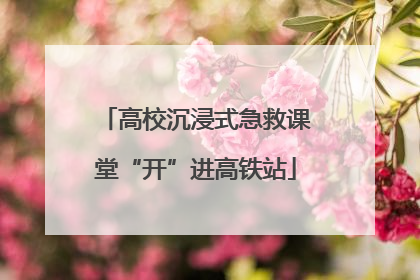 高校沉浸式急救课堂“开”进高铁站