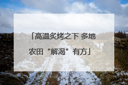 高温炙烤之下 多地农田“解渴”有方