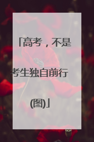 高考，不是考生独自前行(图)