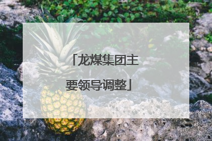 龙煤集团主要领导调整
