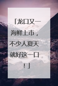 龙口又一海鲜上市，不少人夏天就好这一口！