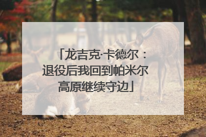 龙吉克·卡德尔：退役后我回到帕米尔高原继续守边