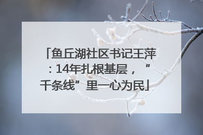 鱼丘湖社区书记王萍：14年扎根基层，“千条线”里一心为民