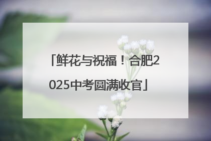 鲜花与祝福！合肥2025中考圆满收官