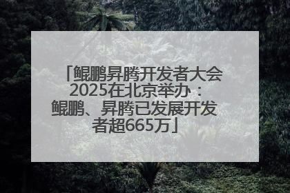 鲲鹏昇腾开发者大会2025在北京举办：鲲鹏、昇腾已发展开发者超665万