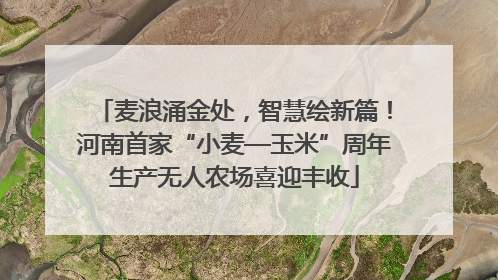 麦浪涌金处，智慧绘新篇！河南首家“小麦—玉米”周年生产无人农场喜迎丰收