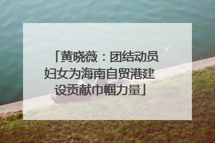 黄晓薇：团结动员妇女为海南自贸港建设贡献巾帼力量