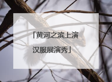 黄河之滨上演汉服展演秀
