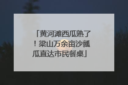 黄河滩西瓜熟了！梁山万余亩沙瓤瓜直达市民餐桌