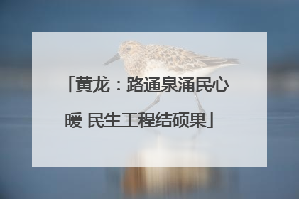 黄龙：路通泉涌民心暖 民生工程结硕果