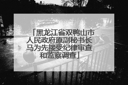 黑龙江省双鸭山市人民政府原副秘书长马为先接受纪律审查和监察调查