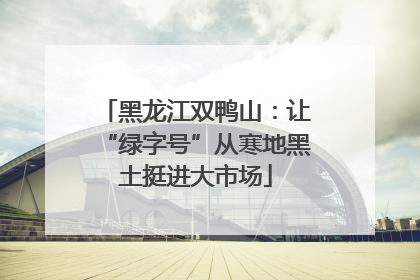 黑龙江双鸭山：让“绿字号”从寒地黑土挺进大市场