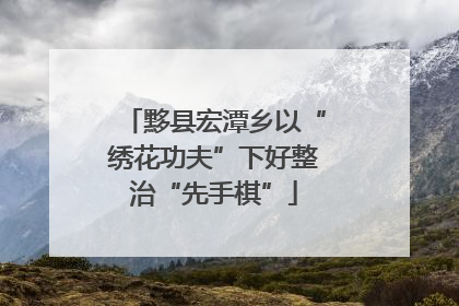 黟县宏潭乡以“绣花功夫”下好整治“先手棋”