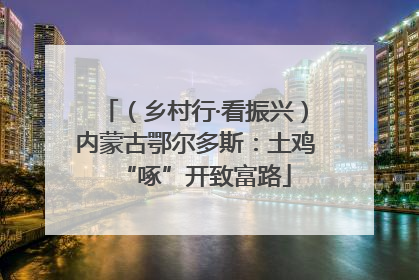 （乡村行·看振兴）内蒙古鄂尔多斯：土鸡“啄”开致富路