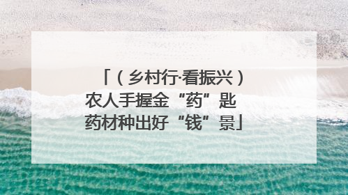 （乡村行·看振兴）农人手握金“药”匙 药材种出好“钱”景