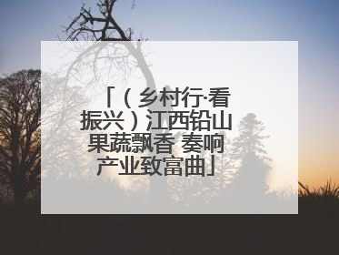 （乡村行·看振兴）江西铅山果蔬飘香 奏响产业致富曲