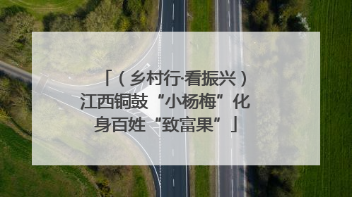 （乡村行·看振兴）江西铜鼓“小杨梅”化身百姓“致富果”