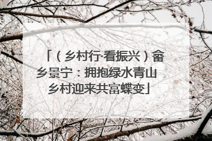 （乡村行·看振兴）畲乡景宁：拥抱绿水青山 乡村迎来共富蝶变