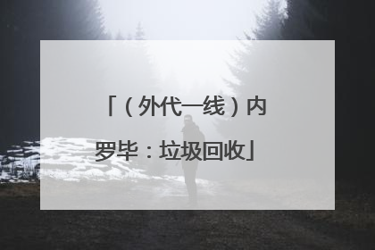 （外代一线）内罗毕：垃圾回收