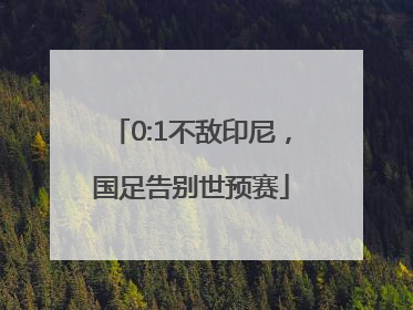 0:1不敌印尼，国足告别世预赛